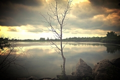 Lake Henry 2 - Pelee