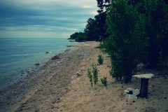 Our beach - Pelee